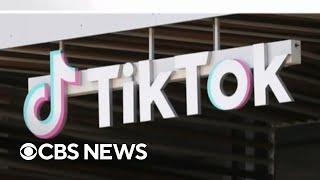Can Congress ban TikTok? Legal expert weighs in