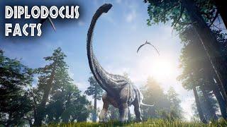 15 DIPLODOCUS FACTS YOU HAVE TO KNOW