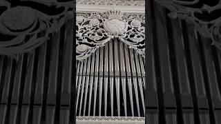 Johann Friedrich Schulze Orgel 1827, restauriert von Eule: Rastenberg, Thüringen # 1 Shorts #konzert