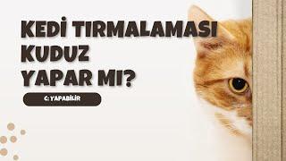 KEDİ TIRMALAMASI KUDUZ YAPAR MI?