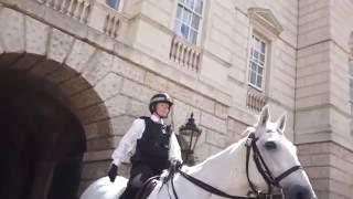 A carriage goes through the Household Cavalry Museum