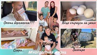 Жизнь на камеру, неделя 3! Насыщенная на события#таняислава #семейныйканал #море #любовь #семья