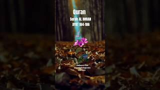 Surah Imran Beautiful Ayat 184-186 Urdu translation  Soulful Quran Verses #shorts