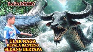 Viral !! Rafa Anak Indigo Melihat Ular Naga Bertapa Berkepala Banteng