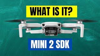 DJI Mini 2 SDK Release Date