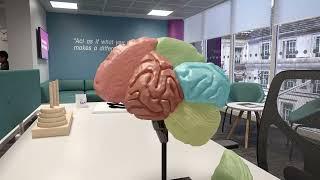 Explore our Psychology Lab | The University of Law