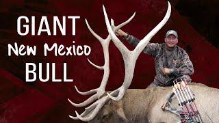 September Rut Hunt! Bow hunting elk with Guy Eastman (Eastmans' Hunting TV)