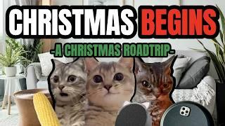 Cat MEMES: CHRISTMAS BEGINS