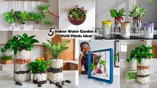 5 Amazing Ideas To Grow Beautiful Indoor Water Gardens+Desk Plants Ideas for Your Home//GREEN PLANTS