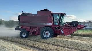 Case IH 2388 Axial Flow Combine Harvester - Spring Barley 2021
