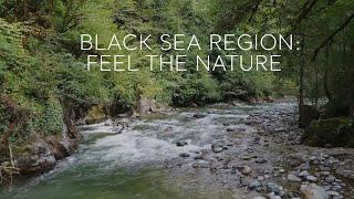 Black Sea Region: Feel The Nature | Go Türkiye