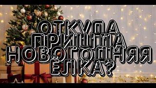 А вы знали, Новогодняя ёлочка - древняя традиция?