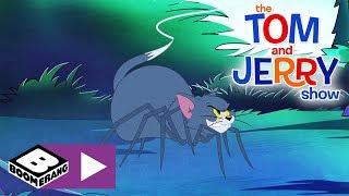 The Tom and Jerry Show  | Spider Tom | Boomerang UK 