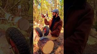 Crazy Bushcraft #camping #survival #bushcraft #outdoors #diy