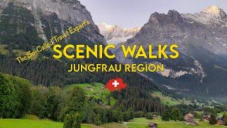 Switzerland Budget Day Trip | Child Friendly Hike | Jungfrau region| Escape from Mass Tourism