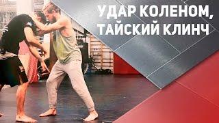 Техника ударов: удар коленом, тайский клинч [Спортивный Бро]