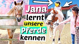 6-jährige NICHTE reitet zum 1.Mal & lernt unsere Pferde kennen  | ViktoriaSarina