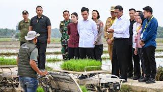 Penyerahan Bantuan, Penanaman Padi Menggunakan Transplanter dan Dialog Petani di Kab. Langkat