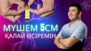 Мүшем кішкентай ((( , 5 сантиметр қысқама?Мүшенің қызметі