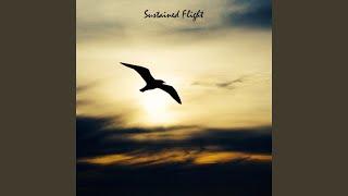 Sustained Flight