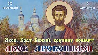 Праздник каждый день «Яков Дровопилец»  22 октября #православие #народныйпраздник #житиясвятых