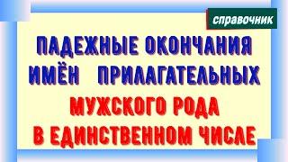 Падежные окончания имен прилагательных мужского рода в единственном числе