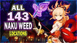 All 143 Naku Weed Locations - Efficient Farming Route | Yoimiya Ascension Material | Genshin Impact