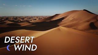 Desert Wind Sound - 10 Hours - Stress Relief | Meditate - Sleep - Study | Desert Winds