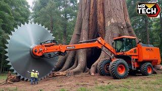 Extreme Dangerous Fastest Big Chainsaw Cutting Tree Machines | Monster Stump Removal Excavator #63