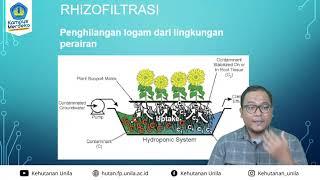 12. KHT - Dasar Restorasi Lahan - Fitoremediasi dalam Lahan Pascatambang