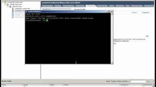 Allowing Vmware ESX and ESXi SSH Access