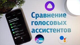 Сравнение голосовых ассистентов – Google Assistant, Apple Siri, Яндекс Алиса