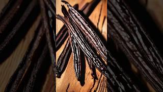 Vanilla farming #shorts #trendingshorts #viral