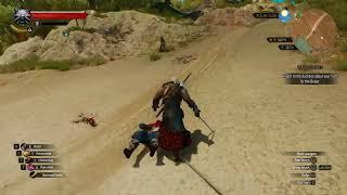 Witcher 3 - When Witcher Fights