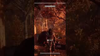 Thats how the eagle bearer deals with pirates "Ac Odyssey"