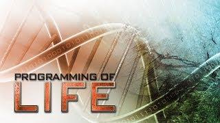 Programming of Life