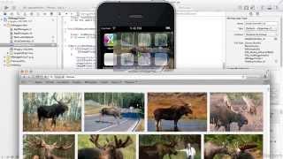 iOS Development - Media Library Tutorial | UI Image Picker Controller