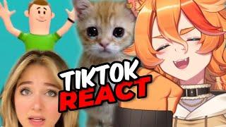 BuffPup Reacts to Funny TikToks That Your Cat Will Love