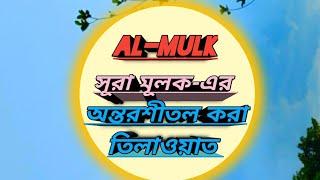 Surah Al-Mulk recited by Omar Hisham al arabi ।। সূরা আল-মূলক-এর অন্তরশীতল করা স্বর্গীয় তিলাওয়াত।