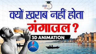 Why Ganga Water Never Spoils? | Explained by 3D | StudyIQ