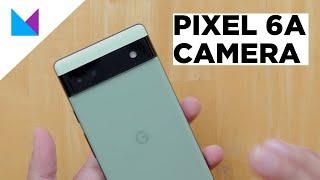 Best camera at the price? // Pixel 6a Camera Samples