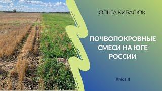 Перспективный посев – перед жатвой | Почвопокровные смеси на юге России