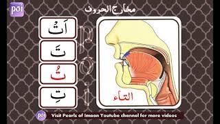 3. Makhārij Al Hurūf | Makhraj of Tā ت | By Sheikh Ayman Rushdi Seweid