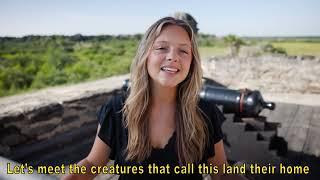 The Many Faces of Fort Matanzas