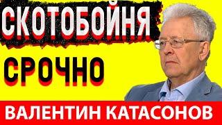 Валентин Катасонов Об Этом Писал Достоевский