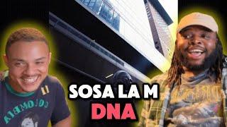 SOSA LA M - DNA | TEAM7 | Reagiert