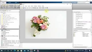 MATLAB#3 تحميل الصور على الماتلاب image processing