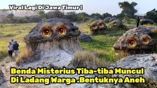 Viral Lagi Di Jawa Timur !!! Benda Misterius Tiba-tiba Muncul Di Ladang Warga .Bentuknya Aneh