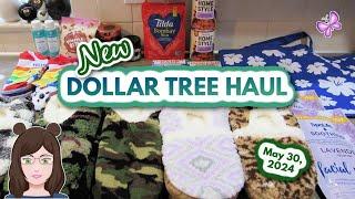 Exciting DOLLAR TREE Haul! Hanover Maryland Stores!!  May 30, 2024!