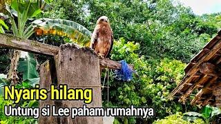 Gak nyangka ! ternyata Si Lee sangat paham sama rumahnya